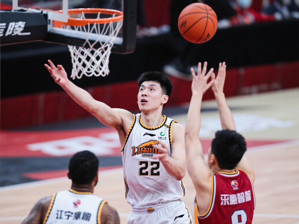 己的观点 己的观点